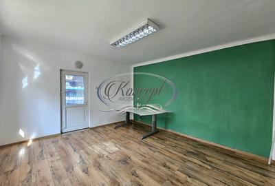 Birou la parter, acces stradal, zona Platinia - 3