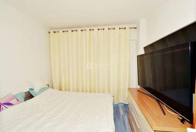 Ultracentral - Anastasie Panu, 3 camere spatios, panorama splendida - 6