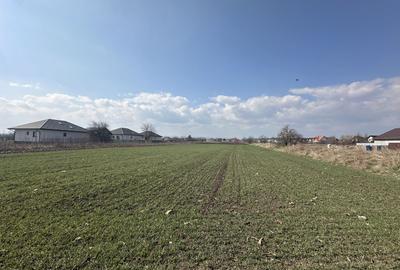 Teren intravilan 20 ari | Rădăuți | Front stradal 19.49 m - 3