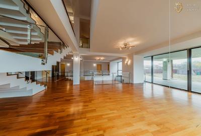 Oportunitate de afacere: spațiu de închiriat 650 mp în Arad - 1