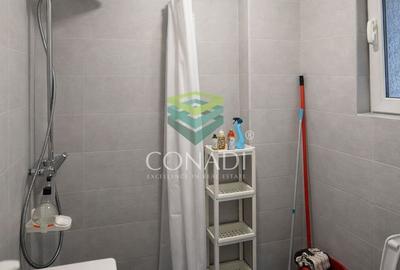 Casa la curte zona Timpuri Noi Vitan - 22