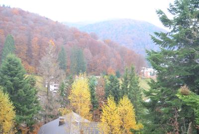 Teren intravilan situat in Busteni-Valea Alba - 4