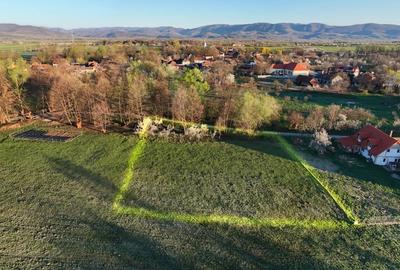 Teren intravilan 2.000 mp de vânzare – Cârnești, Țara Hațegului | vedere Retezat - 4