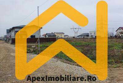 Catelu | Teren 5000MP | Intravilan | 15 Minute Metrou | OPORTUNITATE - 2