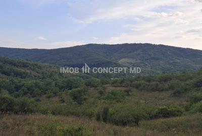 Teren spectaculos cu padure, livada si priveliste panoramica in Soimari PH - 19