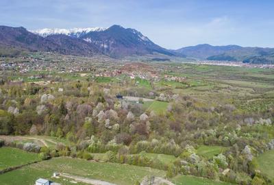 0% Comision | Teren intravilan Zărnești (Tohanița) | Vedere superbă - 3