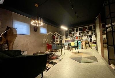 Duplex 3 camere//Birou*Cabinet**Showroom//DOMENII//PARTER+ Demisol - 5