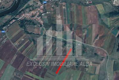 Teren extravilan | Agricol | 8000 mp | 14 ml deschidere | Limba - 2