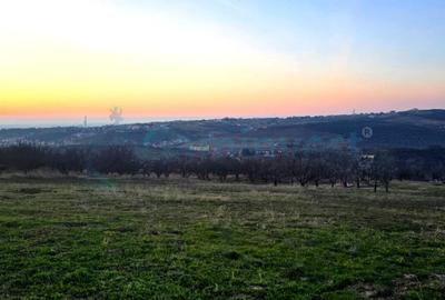 Teren intravilan de 3650 mp in Oradea, zona Sofiei - 1