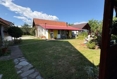 Casă Spațioasă și Domeniu Generos de Vânzare în sat Râu Barbat, comuna Pui, HD - 9
