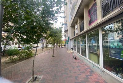 Spatiu comercial de vanzare pe Bulevardul Corneliu Coposu 3-5 - 6