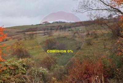 Teren de vanzare 68.463 mp Popesti Extravilan Potential rezidential - 1