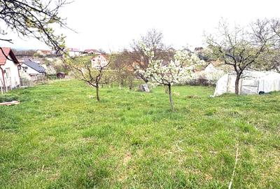 Teren Construcții intravilan de 600 mp, în Dumbrava 2