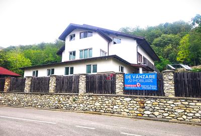 Afacere la cheie – Pensiune turistică în Comuna Runcu - 2