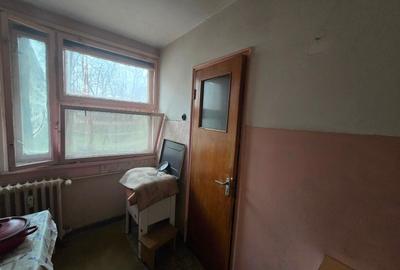 Apartament 3 camere renovabil în Aleea Barajul Bistriței - locație de vis! - 3