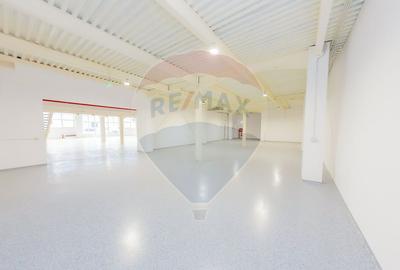 LUX! De inchiriat SPATIU COMERCIAL cu birouri, magazie și acces TIR - 8