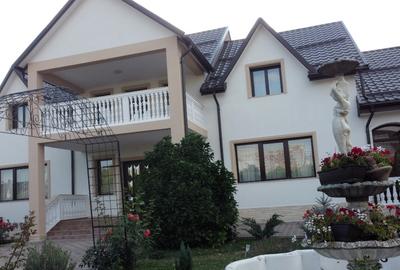 Vila superba 400m2 complet mobilata cu 5000m2 de teren - 3