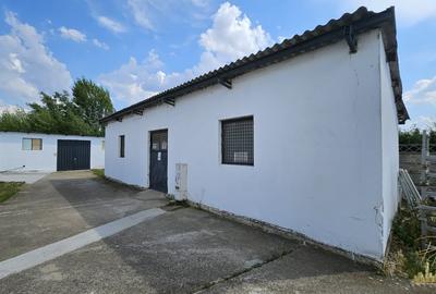 Proprietate industriala renovata | 2 hale de vanzare in zona Seleus - 12