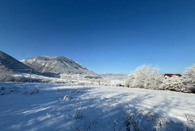 Teren intravilan 500 sau 1000 mp Bran-Tohanita la dum asfaltat - 12