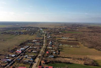 Ferma si livada de meri in judetul Ilfov - 9