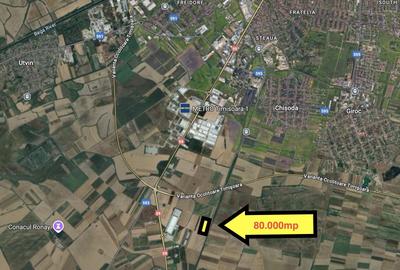 Teren extravilan 80.000 mp – lângă calea ferată & Profi Logistic – Șag - 3