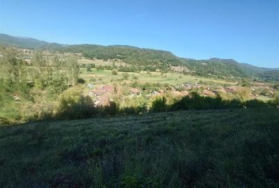 5,6 ha terenuri si padure in Criscior - 2