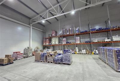 Inchiriere depozit frigorific congelare/hala/spatiu industrial Otopeni - Centura - 28