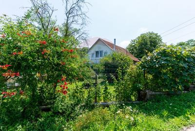 Casă  cu 10 camere in 2 corpuri de cladire (se pot vinde separat) - 37