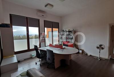 Hala industriala de vanzare cu teren de 12000 mp Bradu Sibiu - 6