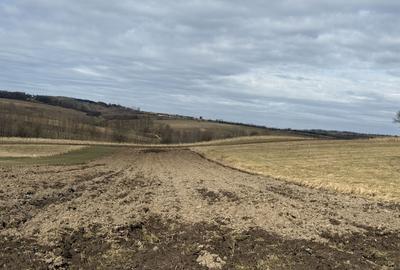 Teren intravilan | 16 ari | Horodnic de Jos – zona Călugărița - 2