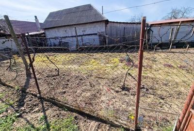 RECO Teren mare cu 2 case in Sabolciu, com. Sacadat - 12