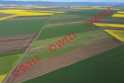 5 terenuri agricole de vânzare în Sântionlunca! - 7