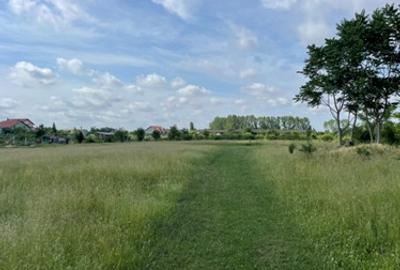 Teren intravilan Loc. Sanleani, Jud. Arad - 3