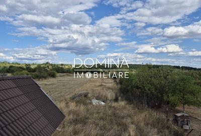 Vânzare casă D+P+M și teren 4334 mp - Runcu, Sat Răchiți - 10