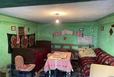 Casa  Rau Sadului - 7