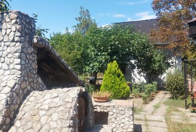 Vanzare 3 case moderne + 3 anexe si 2000 mp teren gradina, pomi in Tuzla la mare - 39
