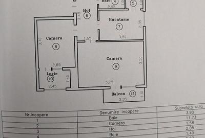 Apartament 3 camere  renovat in zona Lipovei - 24