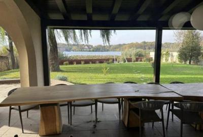 Vila cu piscina pe malul Lacului Snagov teren 2000mp 6900eu/luna sau 1950k vanza - 7