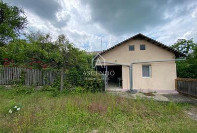 Domeniu 15.900 mp în Fințești | Casă + Investiție Dealu Mare - 8