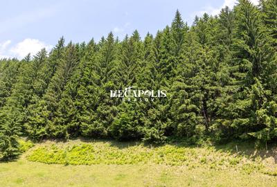 Teren intravilan | Moieciu de Sus | 12307 | PUZ - 22