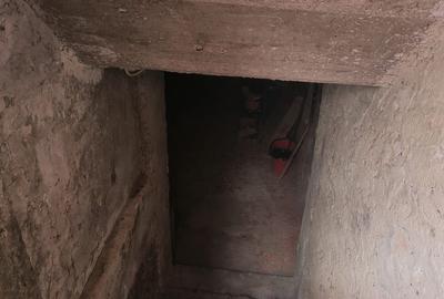 Casa singur in curte zona Astra - 18