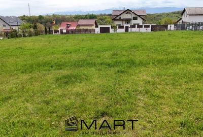 Teren intravilan 1000mp Cisnadie - 3