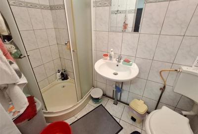 Casa 2 camere 120 mp teren zona Vasile Aaron - 4