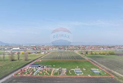 Teren intravilan 13.300 mp – Brașov | 0% COMISION - 11