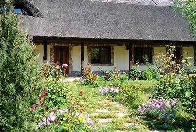 Pensiune agro-turistica in paradisul Deltei Dunarii - 8