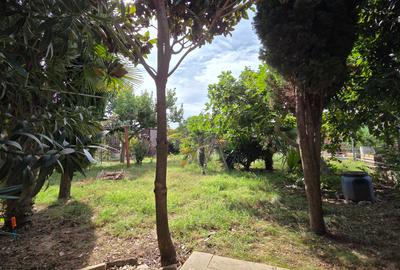 Coiciu,casa caramida,85 mp, teren 631mp, 17m deschidere - 4