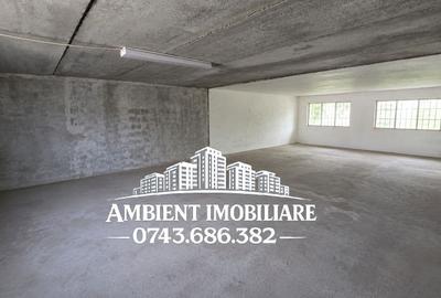 HALĂ DEPOZITARE sau ATELIER, teren 310 mp, VASLUI - zona Industrială; - 6
