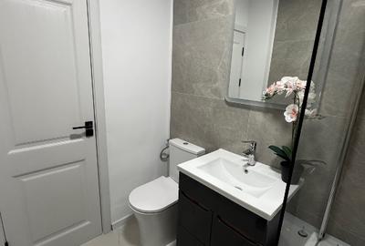Apartament 2 camere Grivita, Titulescu, Banu Manta, Basarab, proprietar - 4
