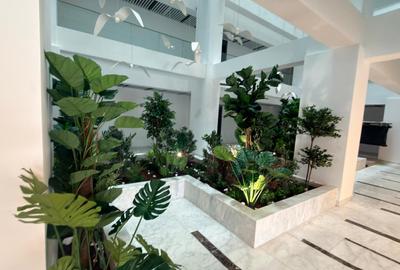 Solid  Faleza Nord Vedere Frontala La Mare Studio - Lux - Pret cu taxe incluse - 17