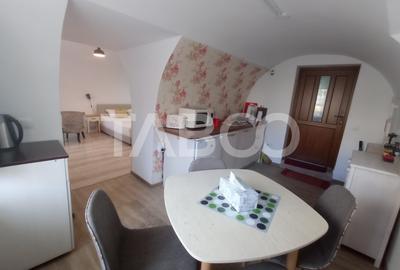 Apartament de inchiriat in Centrul Istoric din Sibiu gradina 150 mp - 6